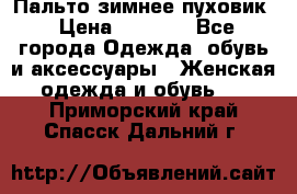 Пальто зимнее пуховик › Цена ­ 2 500 - Все города Одежда, обувь и аксессуары » Женская одежда и обувь   . Приморский край,Спасск-Дальний г.